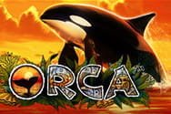 Orca